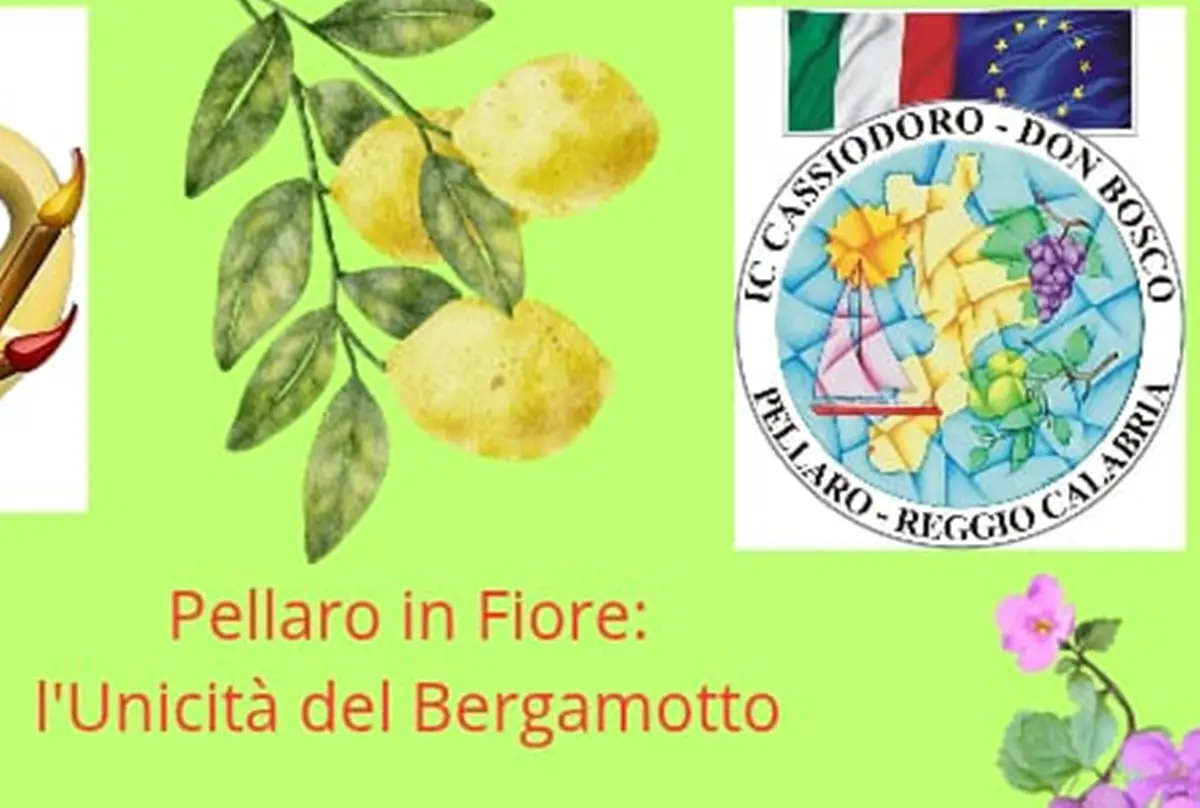 Reggio, tutto pronto per \"Pellaro in fiore: l'Unicità del Bergamotto\"