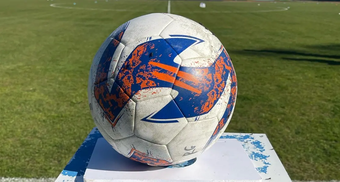 Reggina verso il nuovo corso, Vibonese in bilico: ecco come si muovono le calabresi di Serie D\n