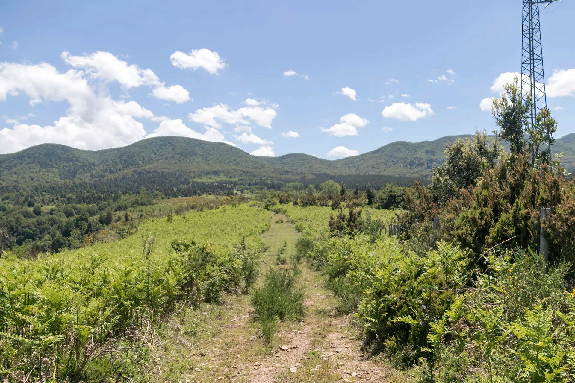 Reggio, tutto pronto per l'escursione sui monti di Scido organizzata dall'associazione \"Gente in Aspromonte\"
