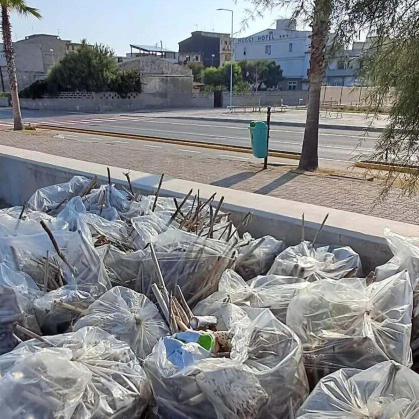 San Ferdinando, scontro in Comune: l’Amministrazione contro la consigliera Digiacco