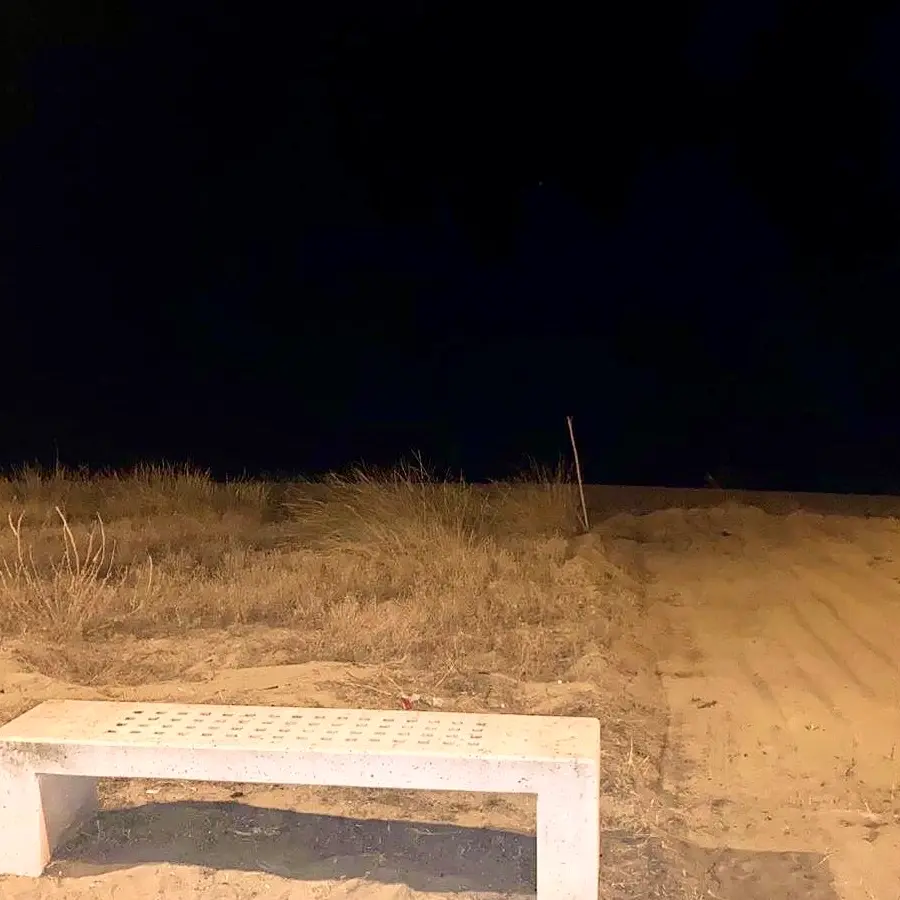 LEGAMBIENTE CALABRIA | «Pulizie meccaniche sulle spiagge? Un danno irreparabile»