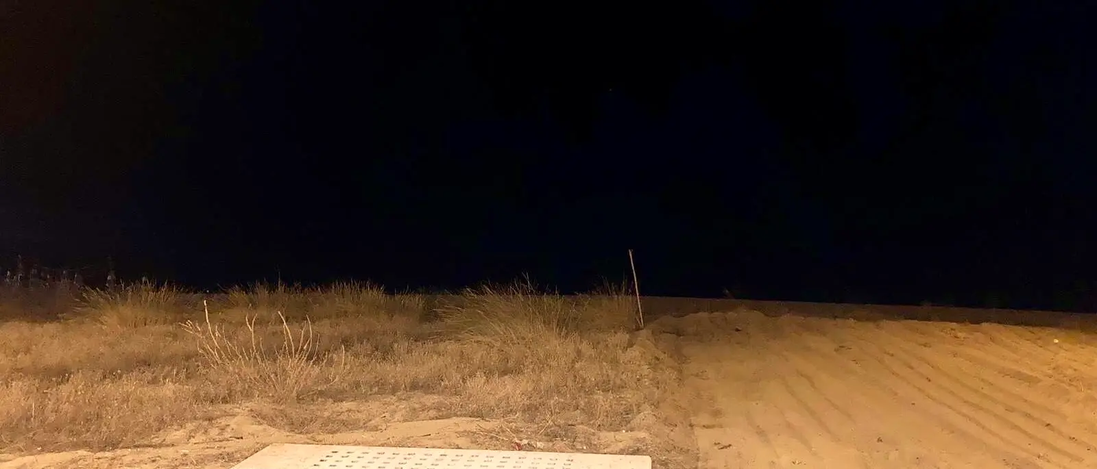 LEGAMBIENTE CALABRIA | «Pulizie meccaniche sulle spiagge? Un danno irreparabile»