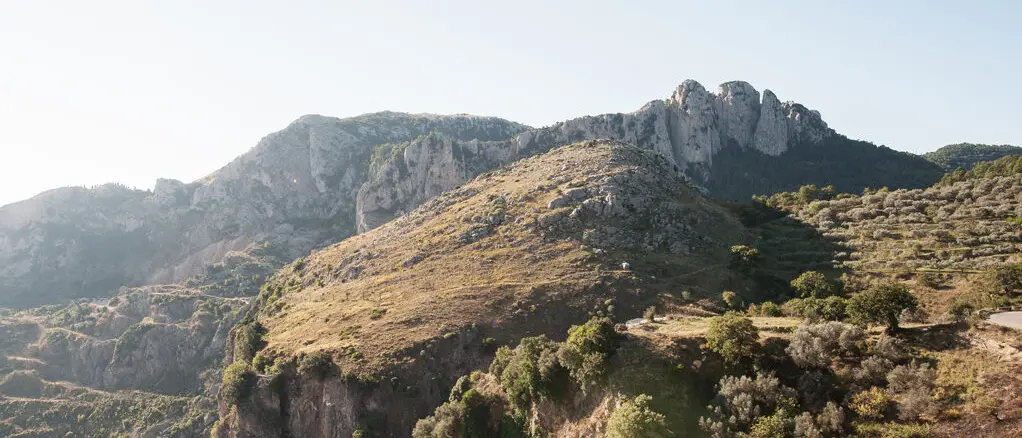In Aspromonte nasce Cicale, il nuovo format di ricerca e formazione