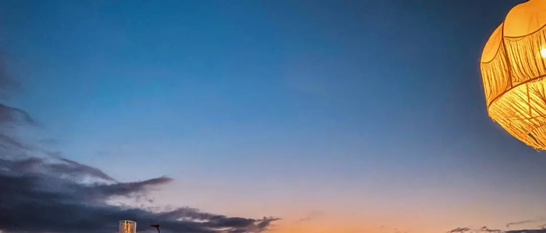 LA FOTO DEL GIORNO | Note al tramonto