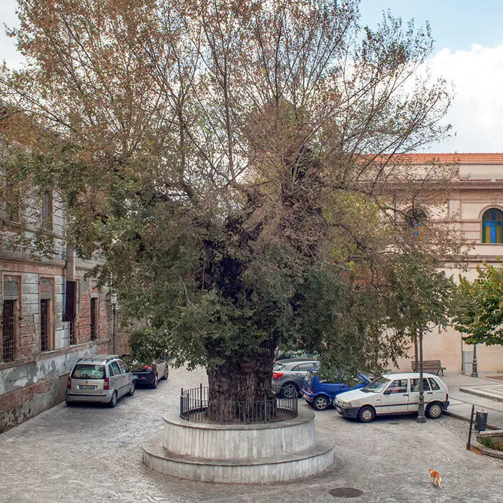 San Lorenzo, incontro tra Pro Loco e Amministrazione: «Collaborazione per lo sviluppo del territorio»