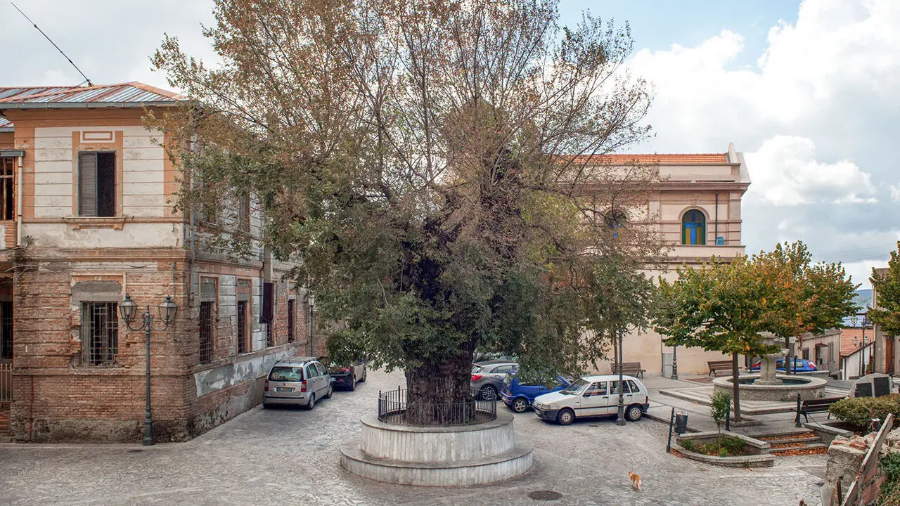 San Lorenzo, incontro tra Pro Loco e Amministrazione: «Collaborazione per lo sviluppo del territorio»