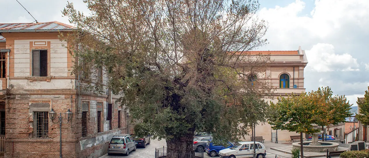 San Lorenzo, incontro tra Pro Loco e Amministrazione: «Collaborazione per lo sviluppo del territorio»