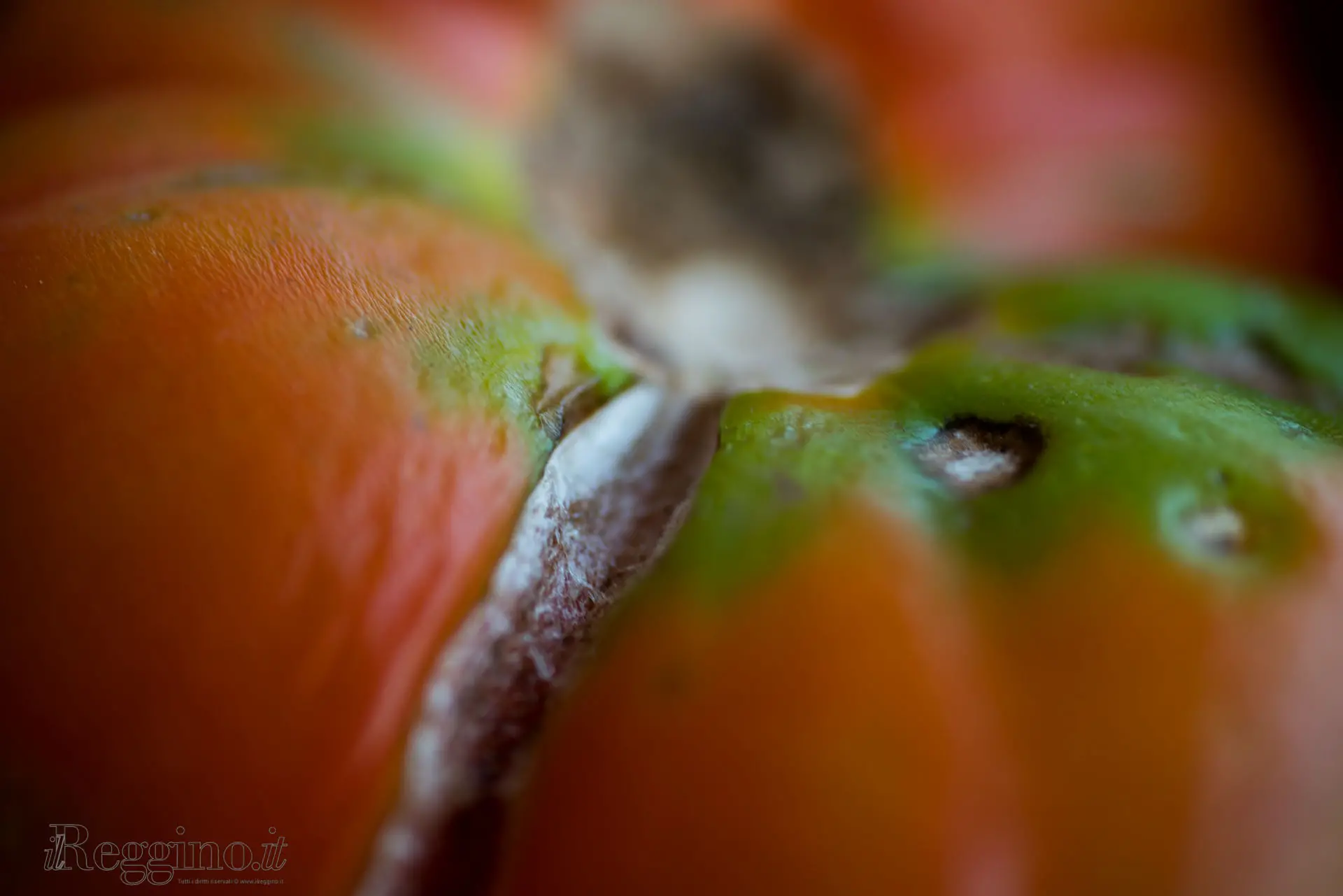 FORME E COLORI