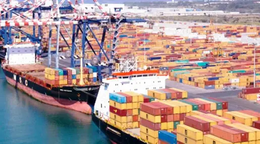 Coronavirus a Gioia Tauro, caso sospetto su nave Msc. L'annuncio del sindaco