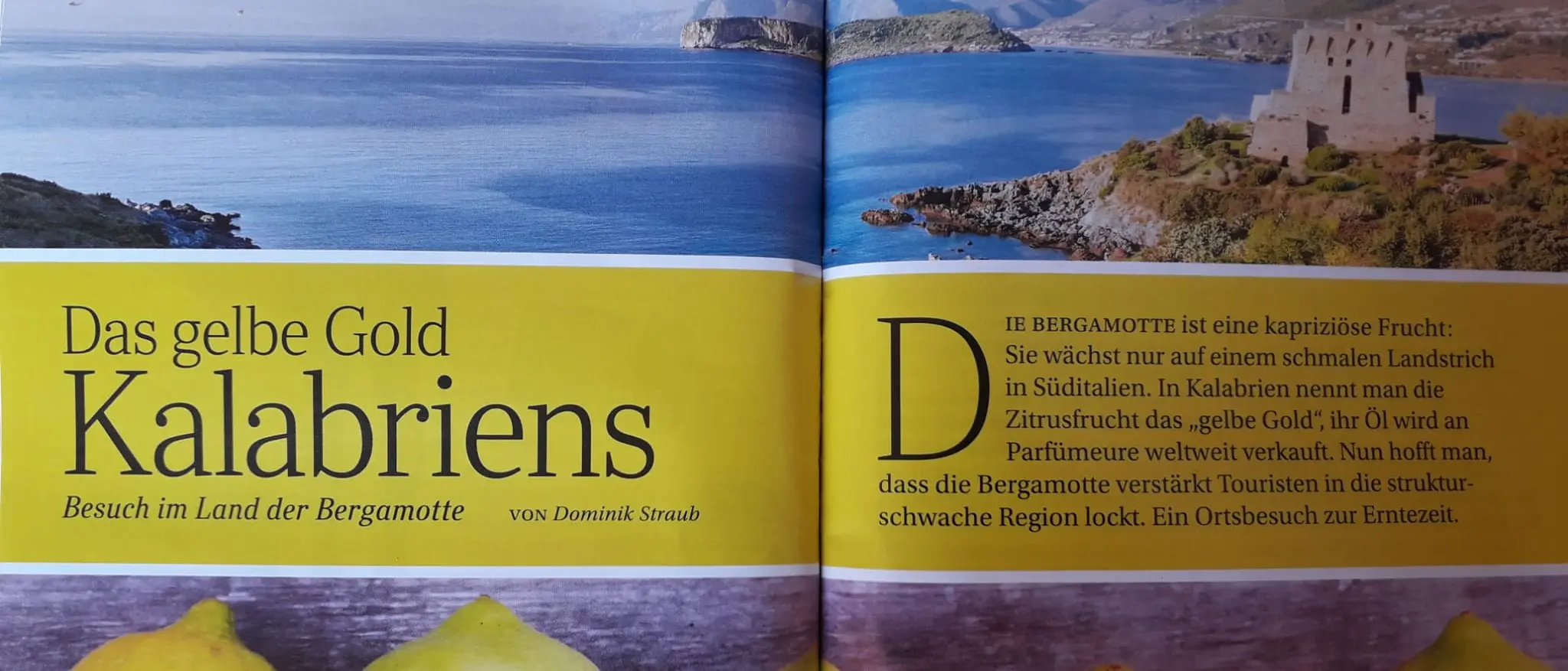 Reggio Calabria, Pazzano: «Grazie a noi la rivista Reader's Digest parla di bergamotto»