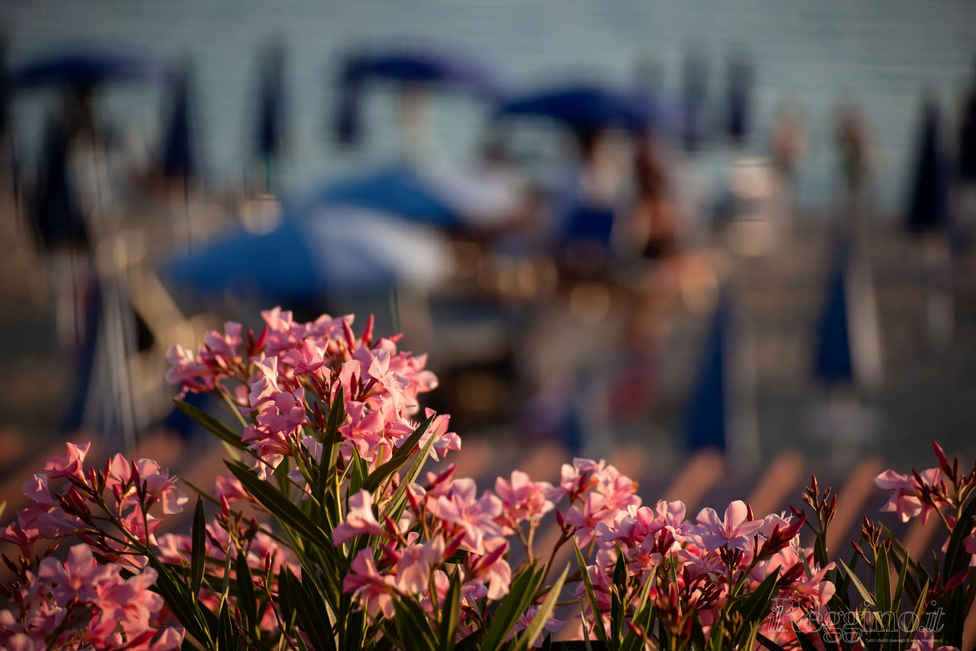 POMERIGGI DI MARE