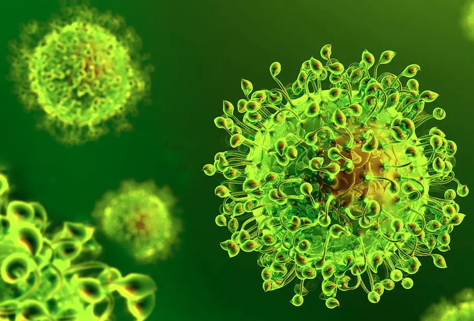 Coronavirus a Reggio Calabria, i contagi non si fermano: 20 nuovi positivi