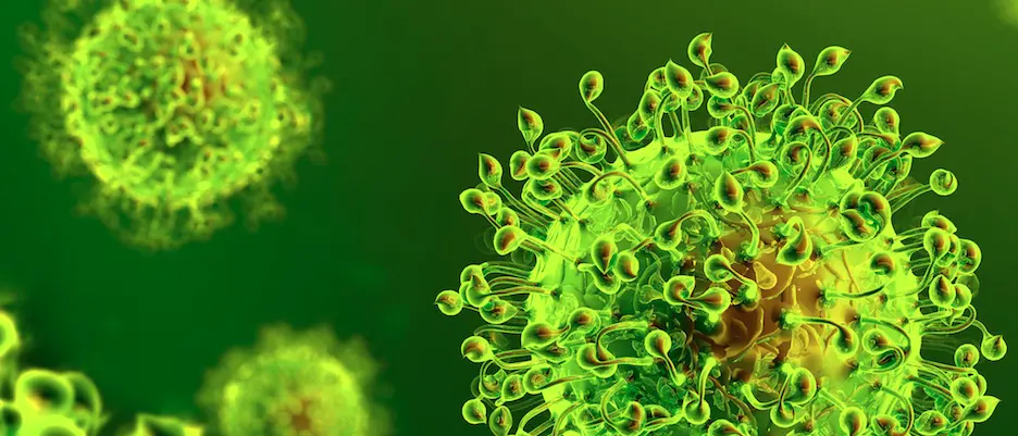 Coronavirus a Reggio Calabria, i contagi non si fermano: 20 nuovi positivi