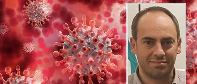 «Come formiche in cerca della cura al Covid». Parla il calabrese scopritore della quercetina