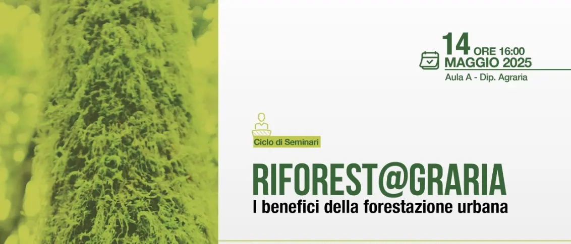 Reggio, al Dipartimento di Agraria il seminario sulla terapia forestale