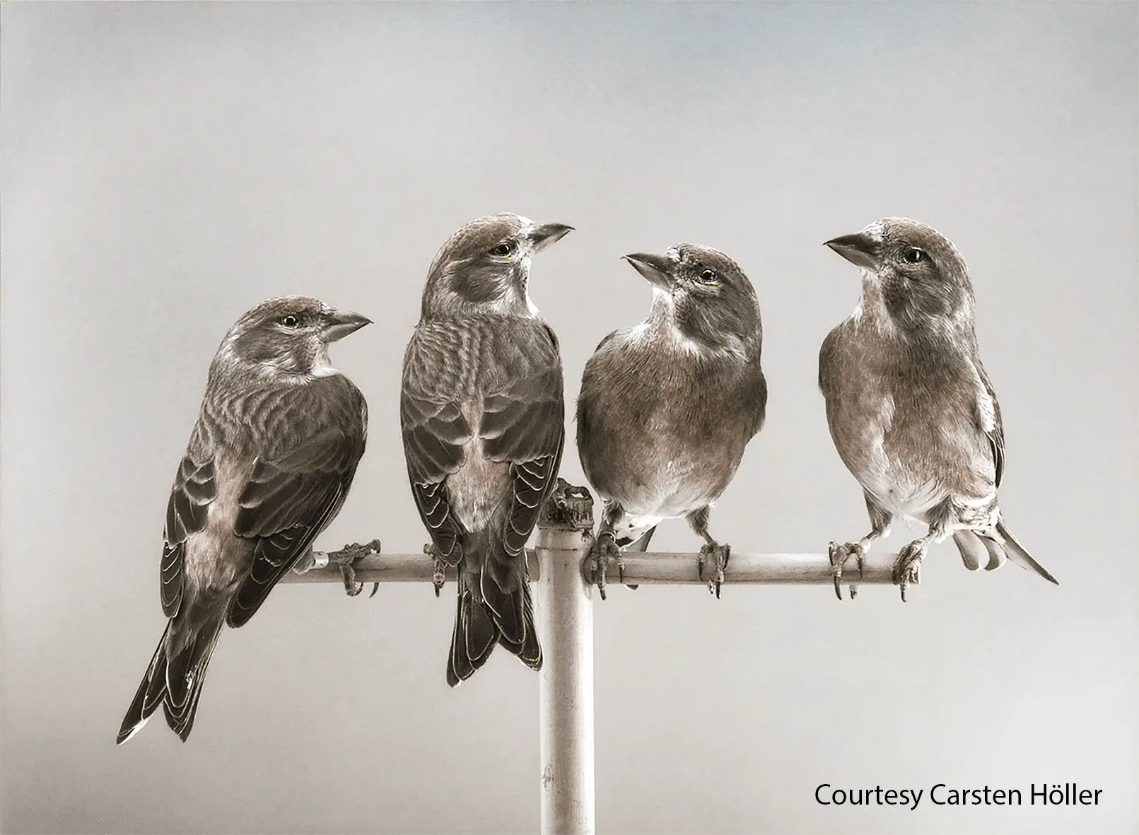 A Reggio la mostra di Lorenzo Benedetti
