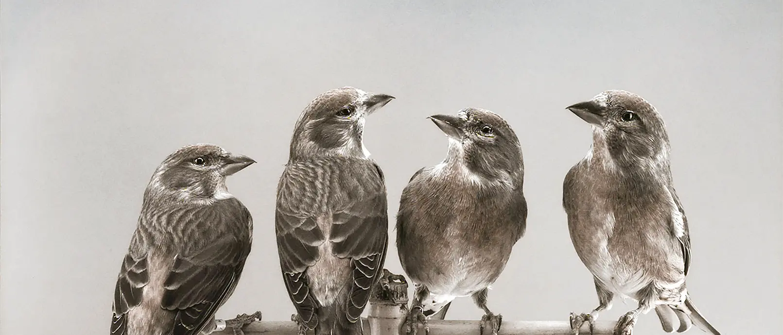 A Reggio la mostra di Lorenzo Benedetti