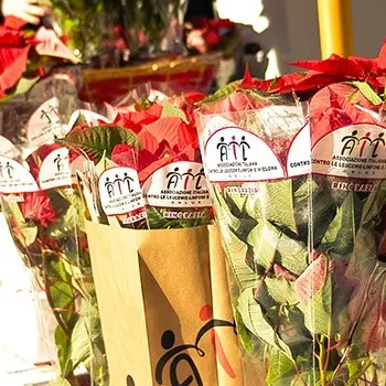 L'Ail in piazza a Reggio con una \"Stella per la vita\"