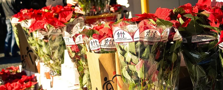 L'Ail in piazza a Reggio con una \"Stella per la vita\"