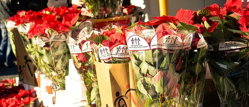 L'Ail in piazza a Reggio con una \"Stella per la vita\"