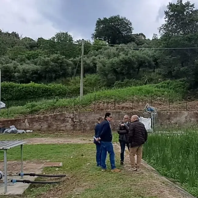 Candidoni, in funzione il primo fitodepuratore pubblico della Città Metropolitana