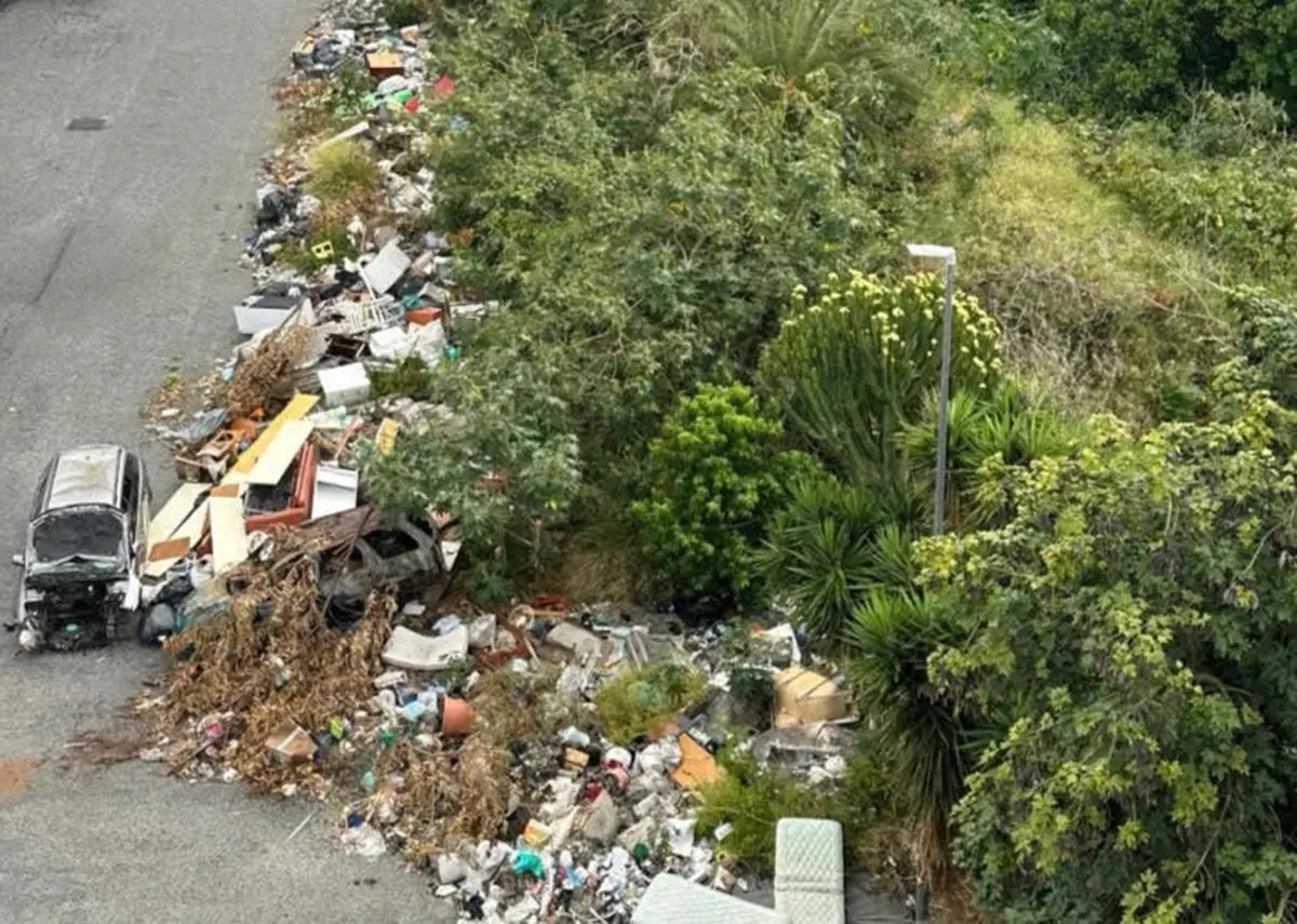 Reggio, allarme ambientale al Rione Marconi: presentato esposto alla Procura