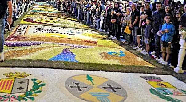 Infiorata di Taurianova 2025: escluso il logo della Città Metropolitana di Reggio Calabria