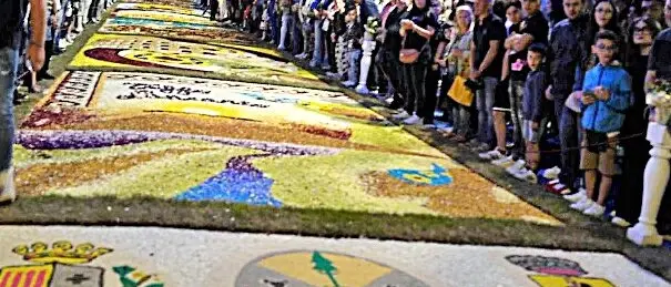 Infiorata di Taurianova 2025: escluso il logo della Città Metropolitana di Reggio Calabria