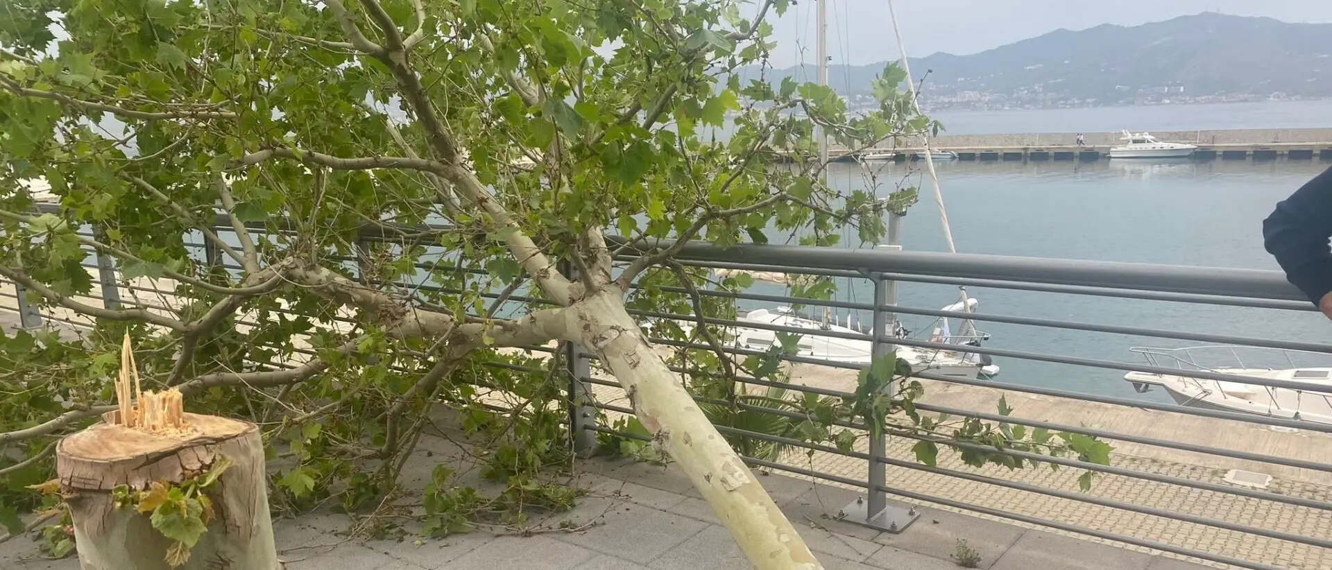 Atto vandalico a Villa San Giovanni, il sindaco: «Tolleranza zero» - FOTO