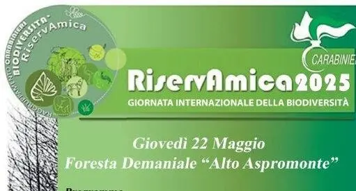 Un viaggio nella biodiversità: la Foresta dell’Alto Aspromonte si apre ai cittadini per “RiservAmica 2025”
