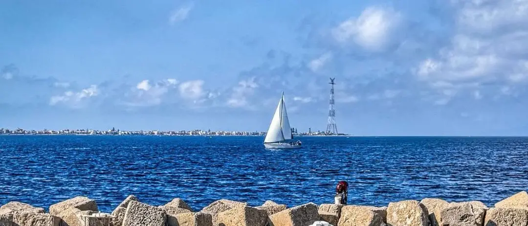 LA FOTO DEL GIORNO | Pezzo di mare, pezzo di vita: lo Stretto