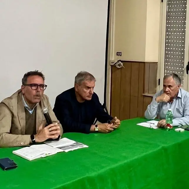 Porto di Gioia Tauro, Agostinelli incontra il Centro Studi Carbone e annuncia i lavori al porto di Taureana