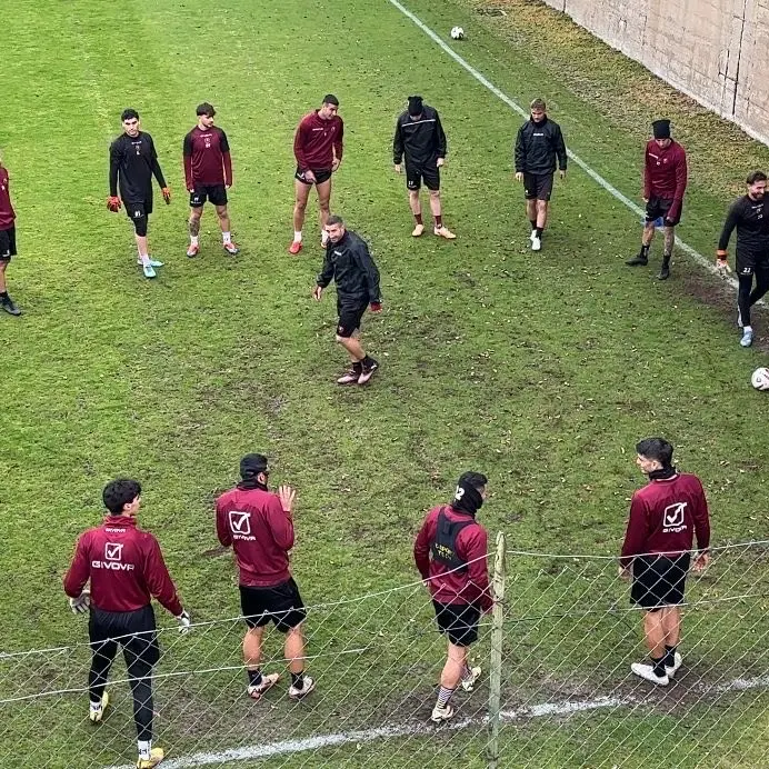 Reggina, contratti e scadenze in attesa del verdetto sulla categoria