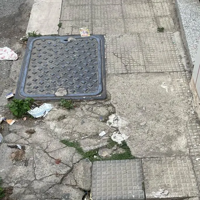 Reggio, FI Giovani replica i GD: «Ricomparsi da poco, ma fissi sui social di Falcomatà invece che in città»