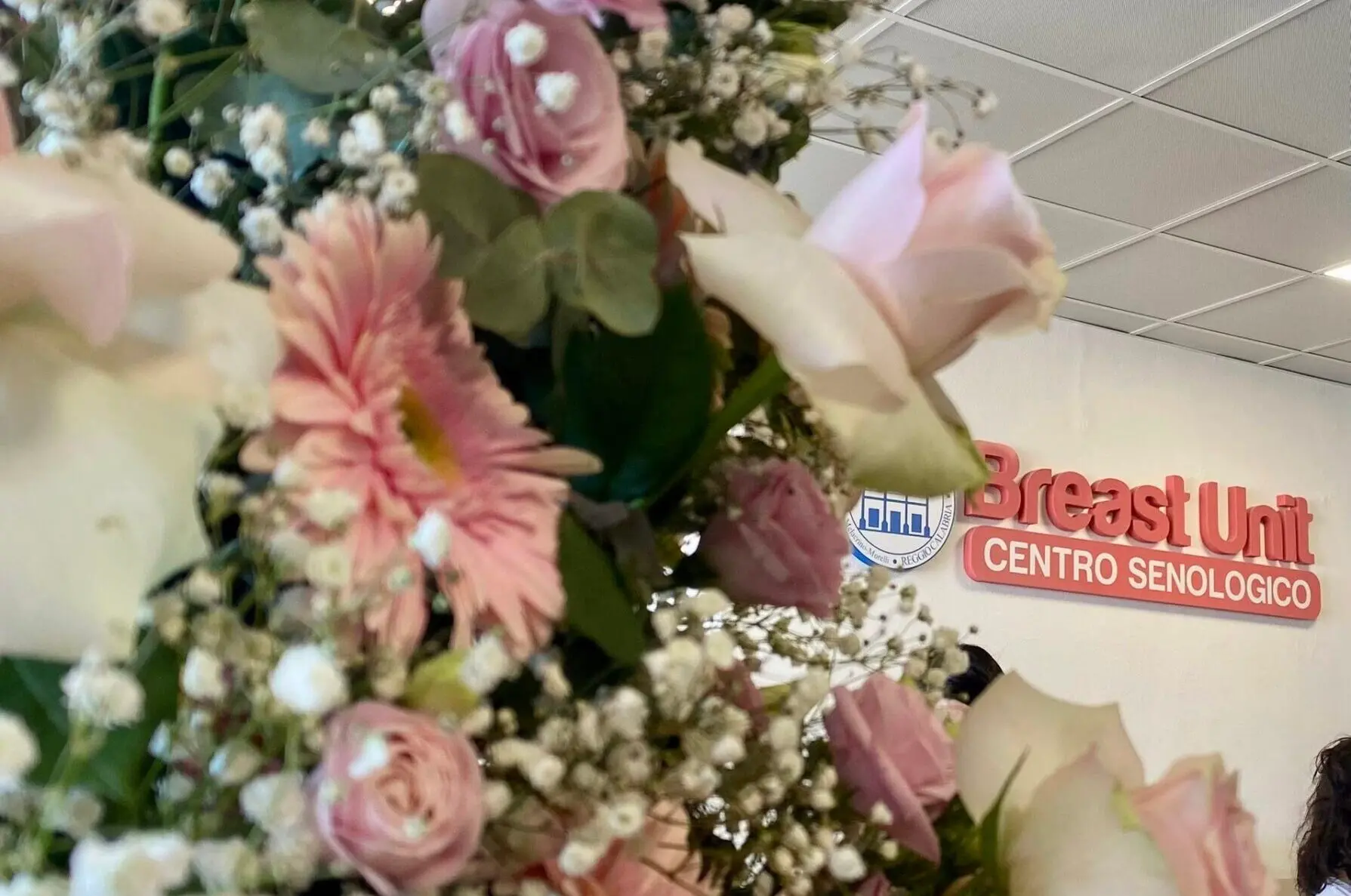 Reggio, l'open day della Breast Unit del GOM: 350 accessi, 250 visite