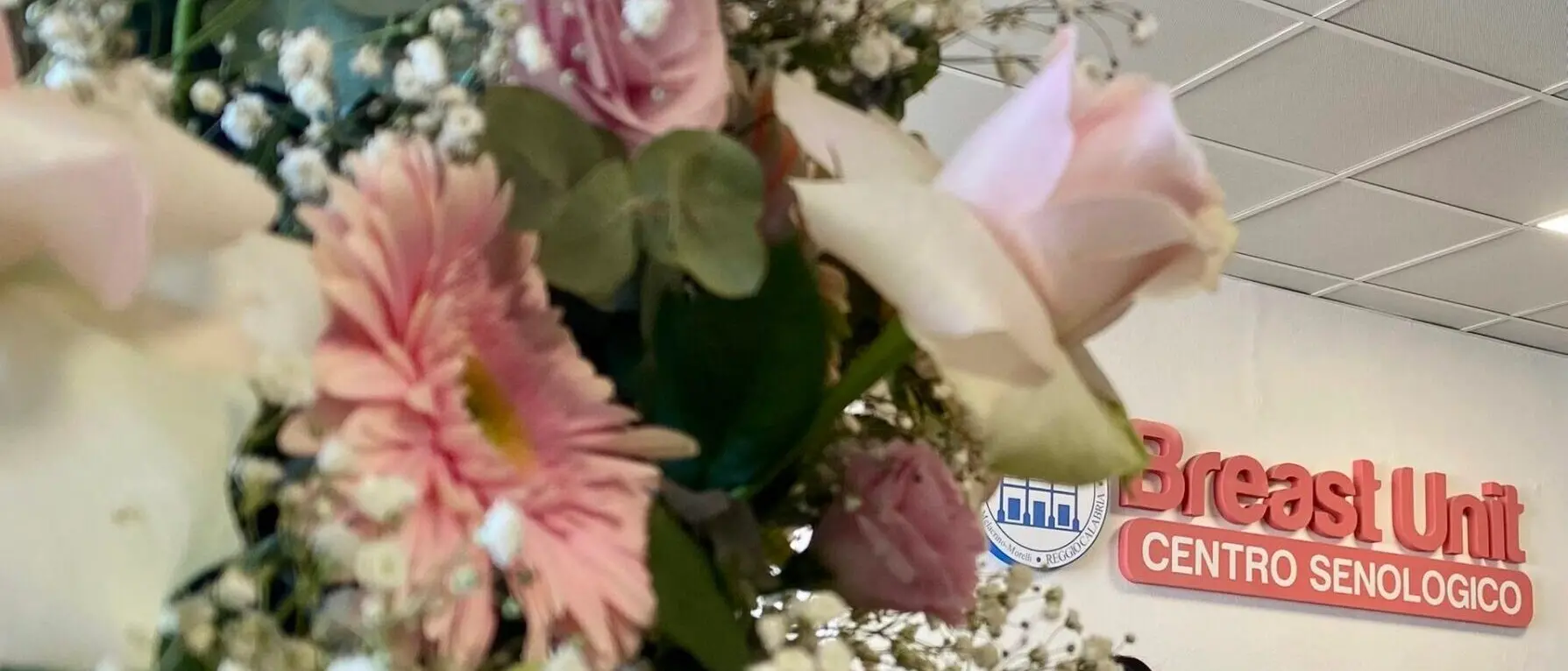 Reggio, l'open day della Breast Unit del GOM: 350 accessi, 250 visite