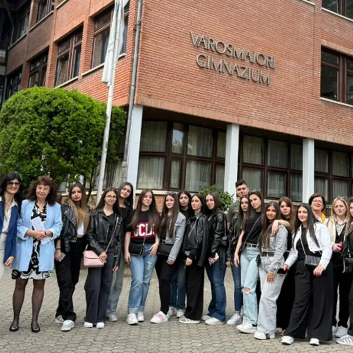 L’Einaudi-Alvaro di Palmi e la Városmajori High School di Budapest costruiscono un ponte tra culture