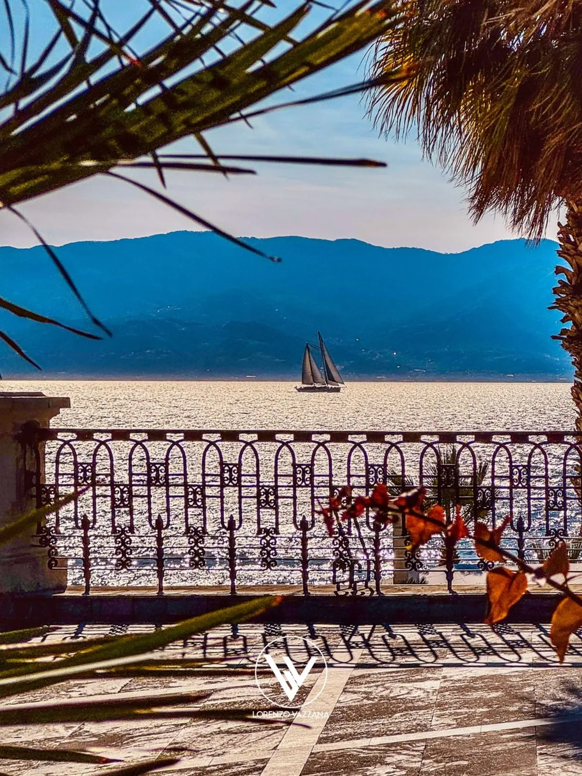 FOTO DEL GIORNO | Tra le foglie, lo Stretto