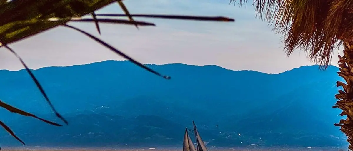 FOTO DEL GIORNO | Tra le foglie, lo Stretto