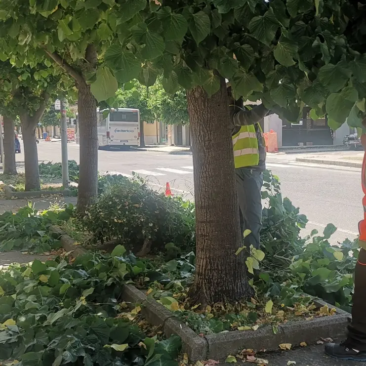 Siderno, al via interventi straordinari di pulizia delle strade