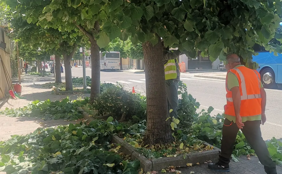 Siderno, al via interventi straordinari di pulizia delle strade