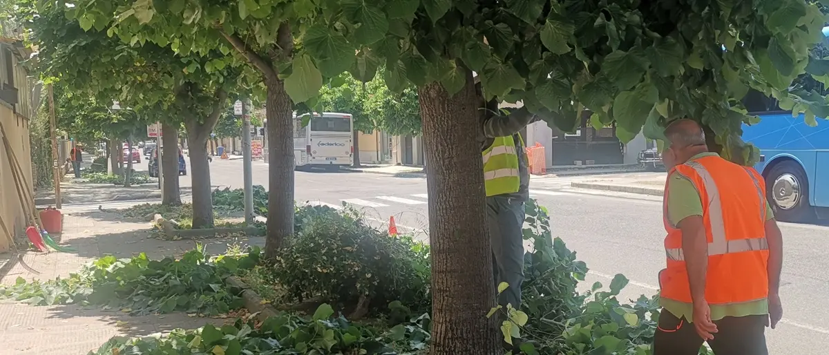 Siderno, al via interventi straordinari di pulizia delle strade