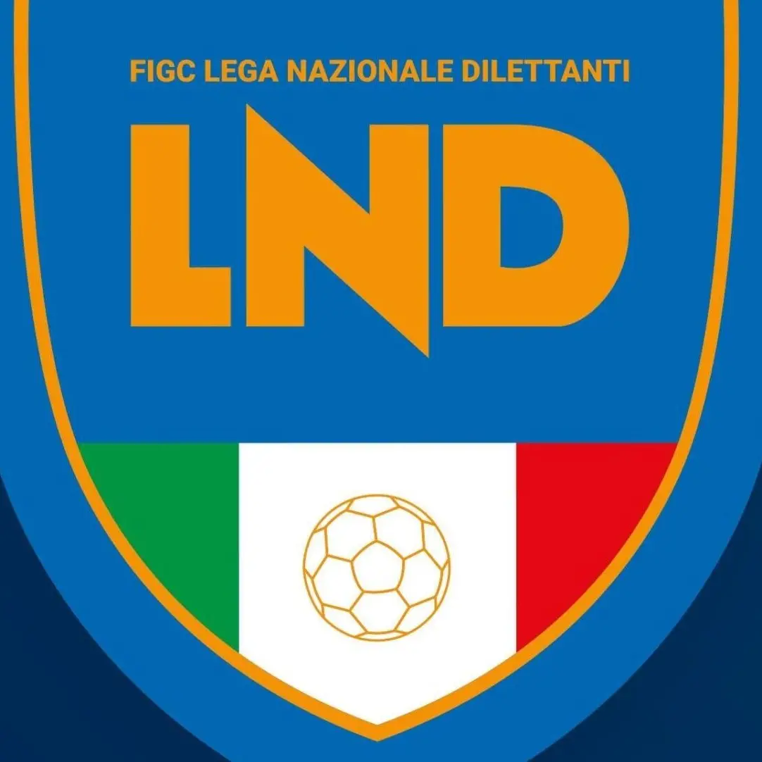 Serie D, al via la fase di iscrizione: ecco tutti i criteri per partecipare alla stagione 2025/26
