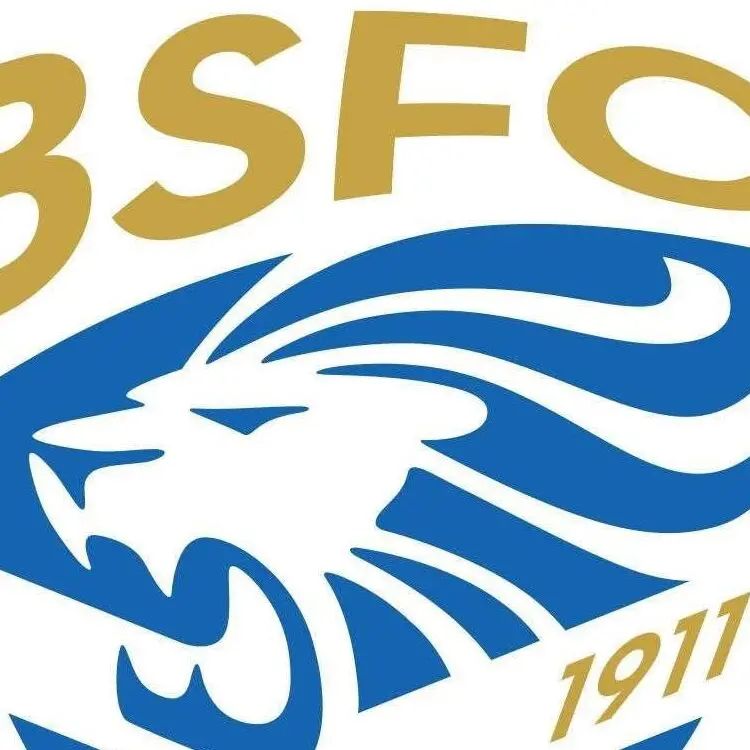 Brescia verso il fallimento: Cellino pronto a mollare tutto. Dipendenti in lacrime, tifosi sotto la sede