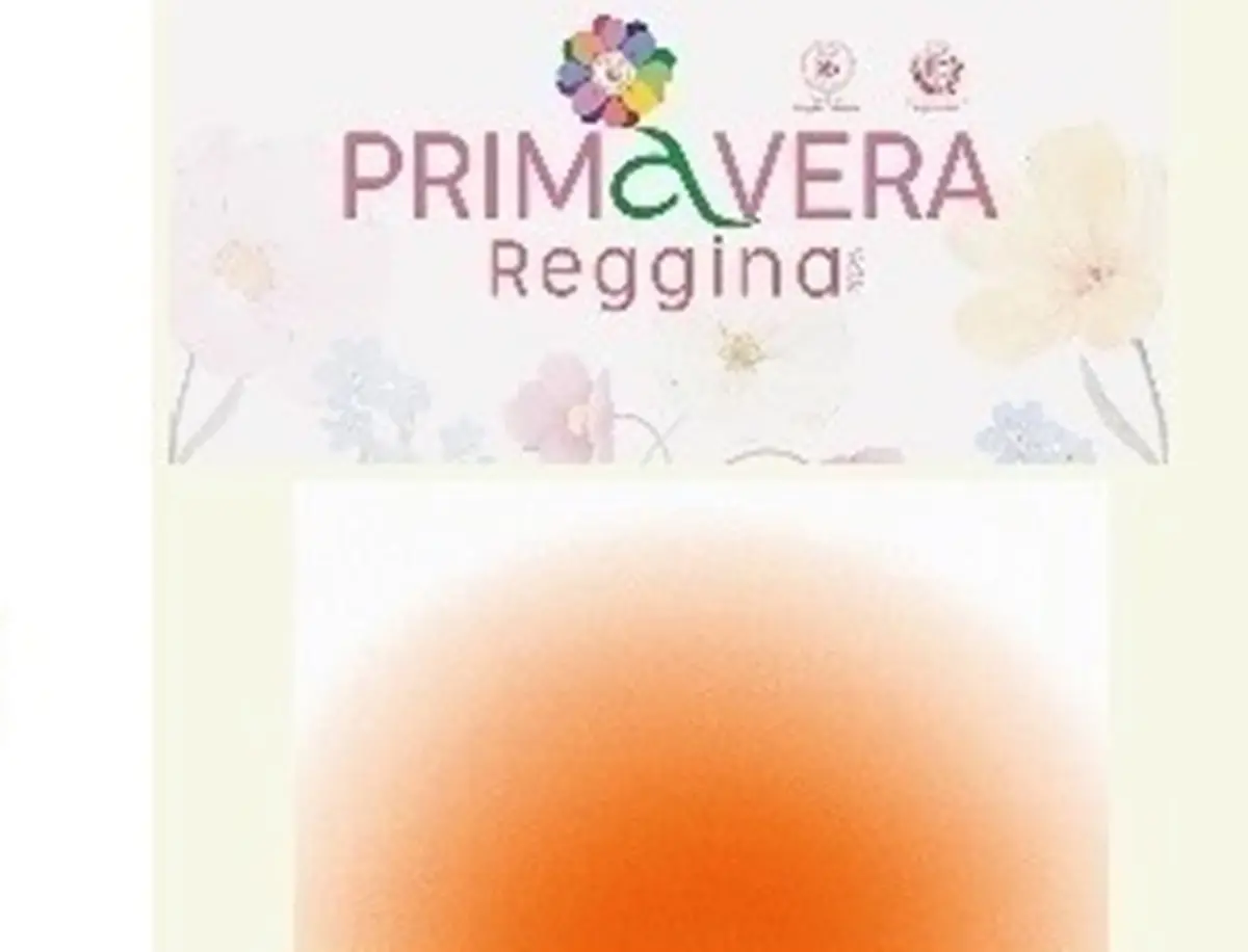 A Reggio il secondo evento della XV edizione del Festival della Complessità 2025