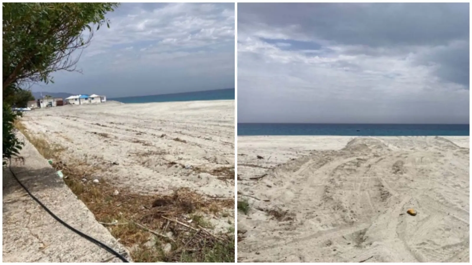 LA DENUNCIA | Habitat distrutti e nidificazioni compromesse nelle spiagge protette, le associazioni ambientaliste: «Serve argine a declino ecosistema»