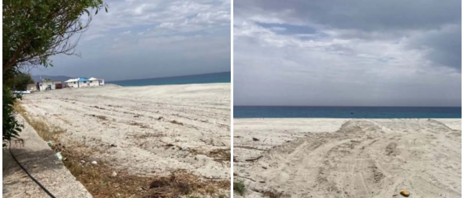 LA DENUNCIA | Habitat distrutti e nidificazioni compromesse nelle spiagge protette, le associazioni ambientaliste: «Serve argine a declino ecosistema»