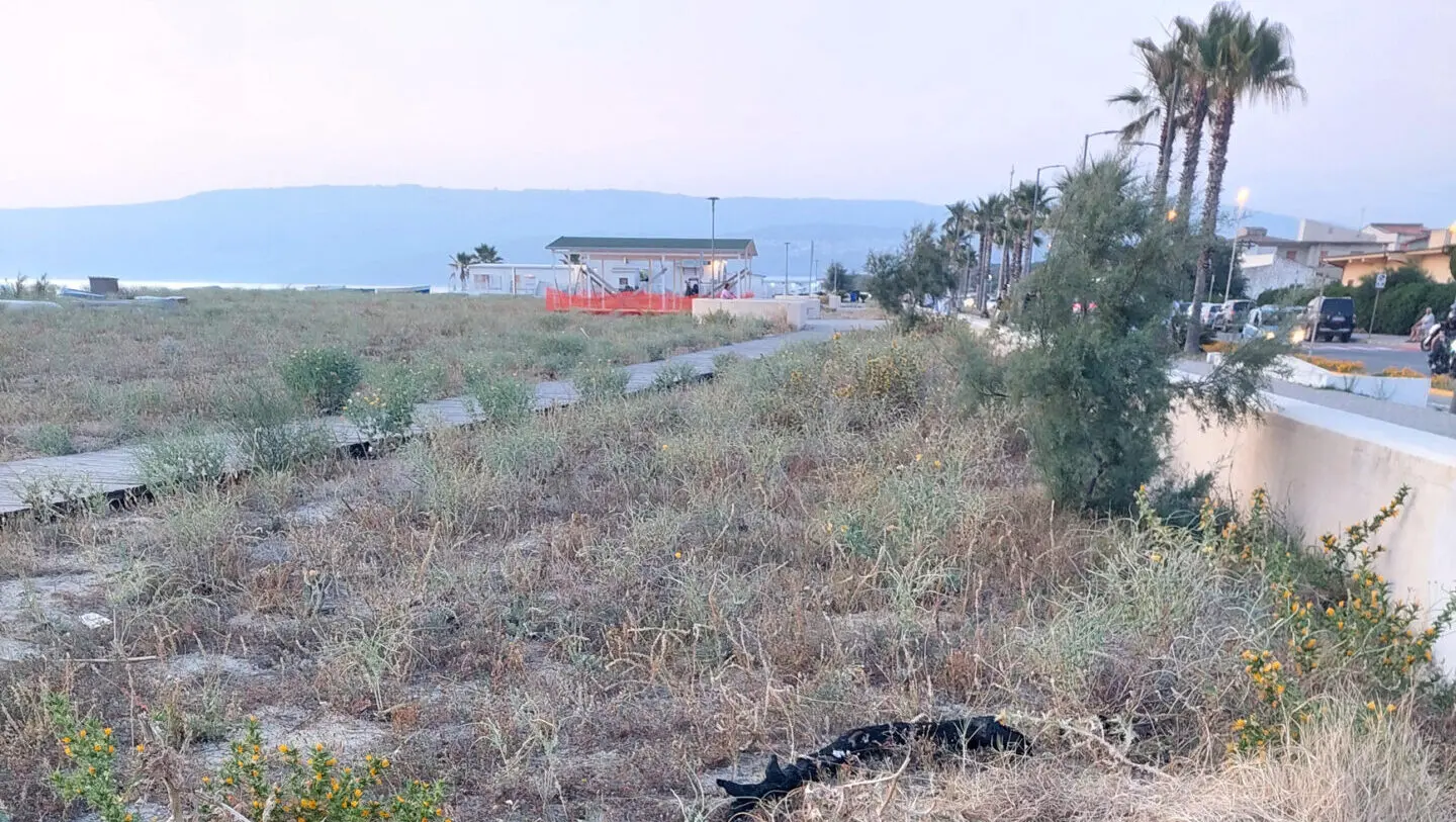 San Ferdinando, Fratelli d'Italia denuncia la mancata pulizia della spiaggia per il periodo estivo