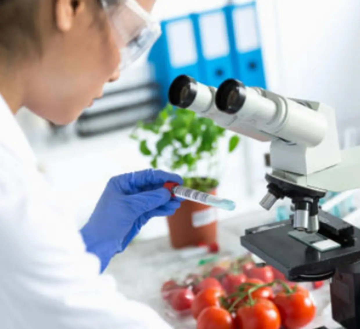 Paolillo: «Valorizzare e tutelare la figura del Tecnologo alimentare»