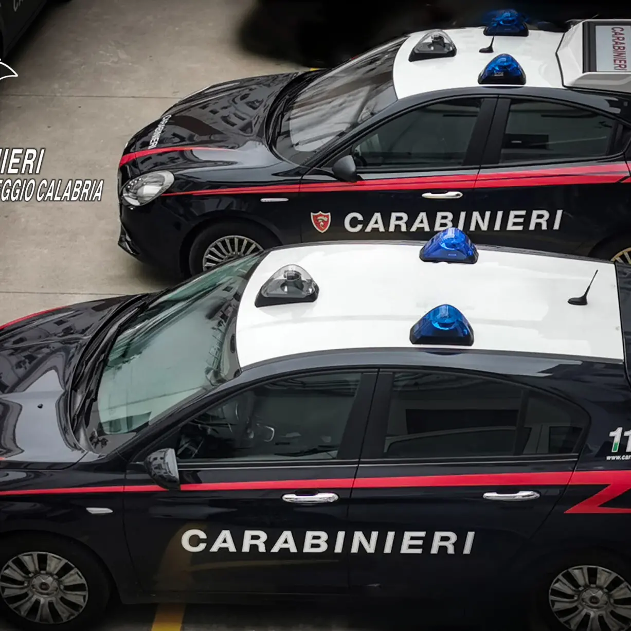 Villa, ruba energia elettrica per alimentare l'intera casa: arrestata